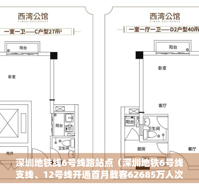深圳地铁线6号线路站点（深圳地铁6号线支线、12号线开通首月载客62685万人次）