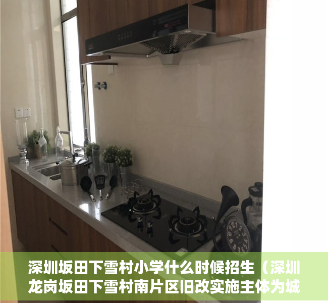 深圳坂田下雪村小学什么时候招生（深圳龙岗坂田下雪村南片区旧改实施主体为城建集团）