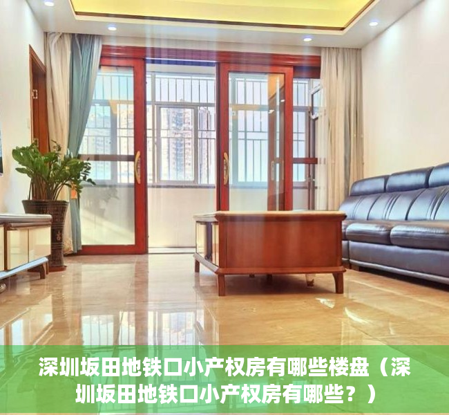 深圳坂田地铁口小产权房有哪些楼盘（深圳坂田地铁口小产权房有哪些？）