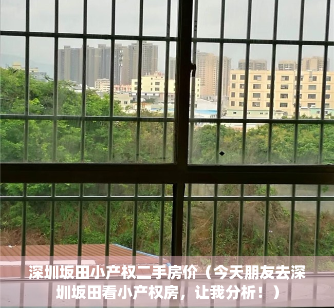 深圳坂田小产权二手房价（今天朋友去深圳坂田看小产权房，让我分析！）