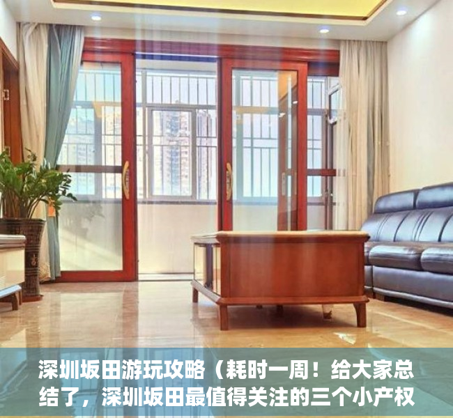 深圳坂田游玩攻略（耗时一周！给大家总结了，深圳坂田最值得关注的三个小产权盘！）