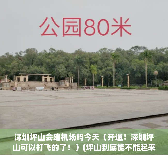 深圳坪山会建机场吗今天（开通！深圳坪山可以打飞的了！）(坪山到底能不能起来)