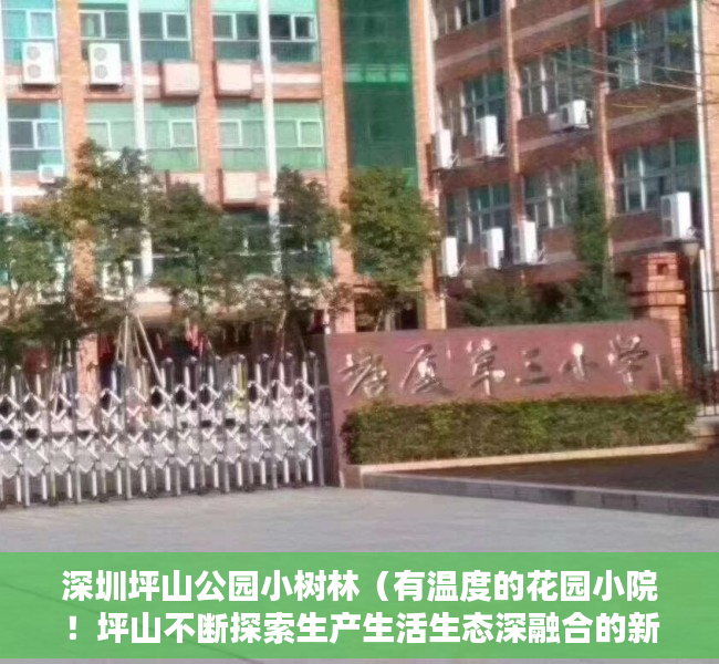 深圳坪山公园小树林（有温度的花园小院！坪山不断探索生产生活生态深融合的新实践）