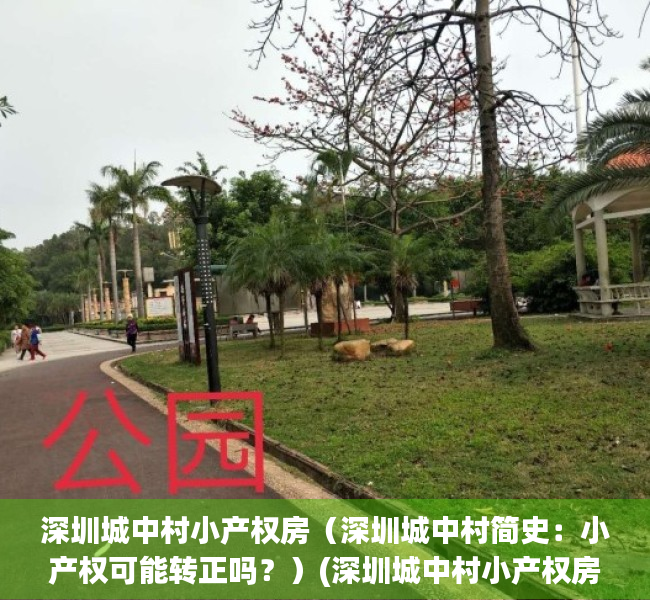 深圳城中村小产权房（深圳城中村简史：小产权可能转正吗？）(深圳城中村小产权房最新政策)