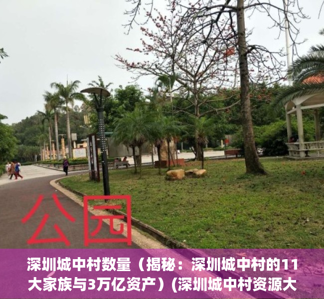 深圳城中村数量（揭秘：深圳城中村的11大家族与3万亿资产）(深圳城中村资源大全)