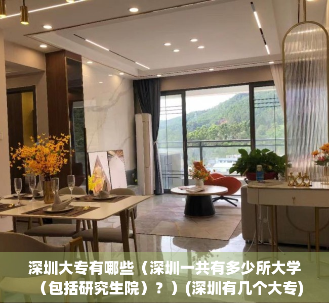 深圳大专有哪些（深圳一共有多少所大学（包括研究生院）？）(深圳有几个大专)