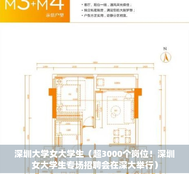 深圳大学女大学生（超3000个岗位！深圳女大学生专场招聘会在深大举行）