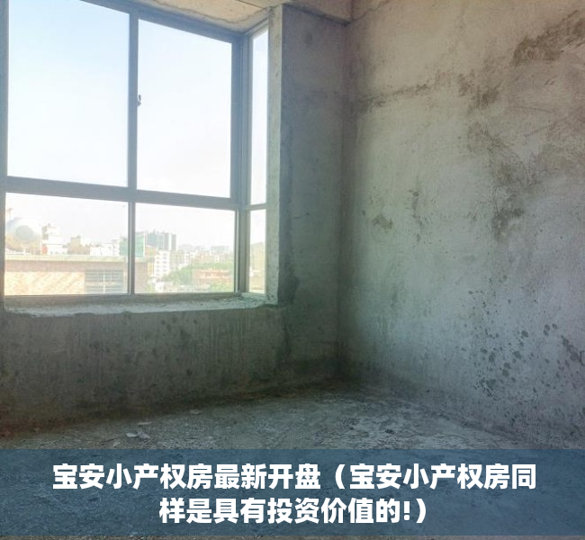 宝安小产权房最新开盘（宝安小产权房同样是具有投资价值的!）