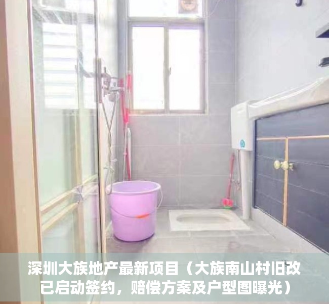 深圳大族地产最新项目（大族南山村旧改已启动签约，赔偿方案及户型图曝光）