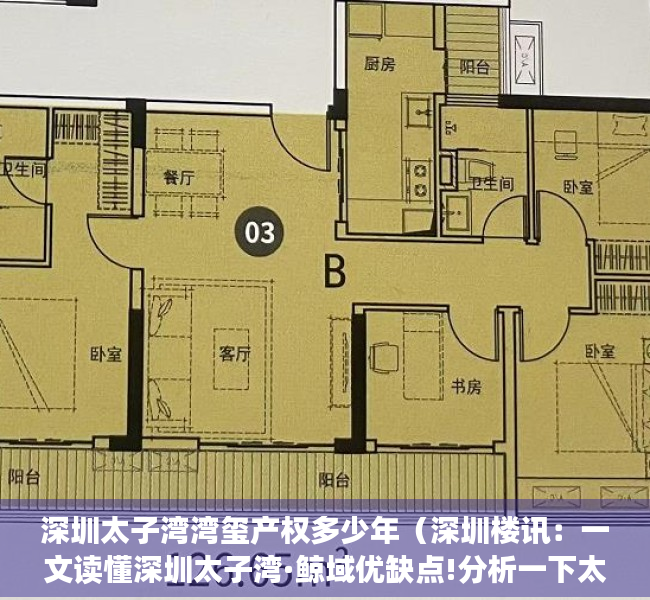 深圳太子湾湾玺产权多少年（深圳楼讯：一文读懂深圳太子湾·鲸域优缺点!分析一下太子湾·鲸域值得买吗）