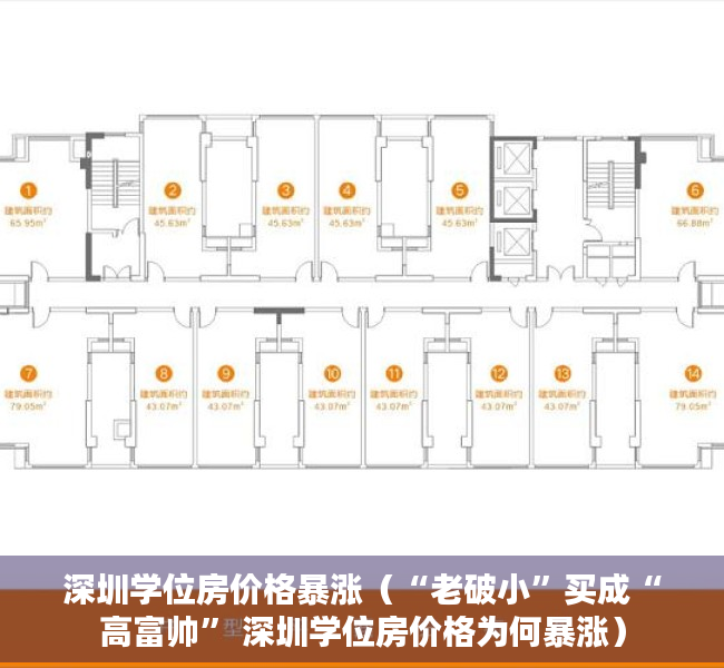 深圳学位房价格暴涨（“老破小”买成“高富帅” 深圳学位房价格为何暴涨）