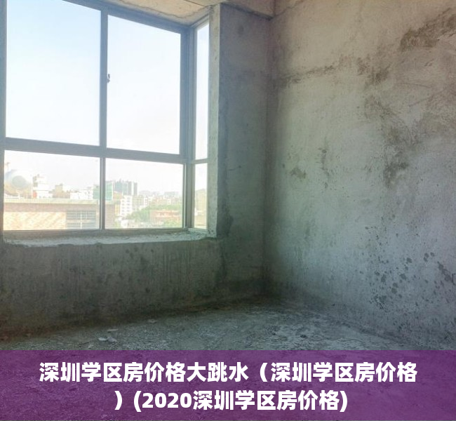 深圳学区房价格大跳水（深圳学区房价格）(2020深圳学区房价格)