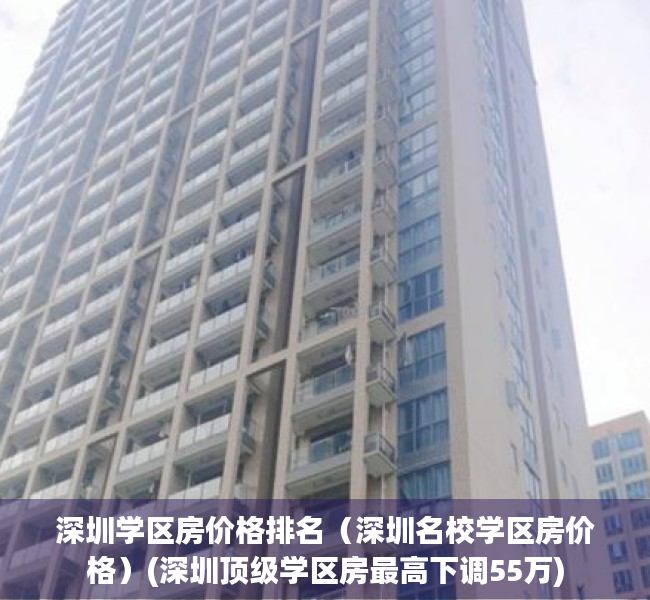 深圳学区房价格排名（深圳名校学区房价格）(深圳顶级学区房最高下调55万)