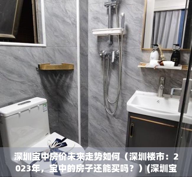 深圳宝中房价未来走势如何（深圳楼市：2023年，宝中的房子还能买吗？）(深圳宝中区域)