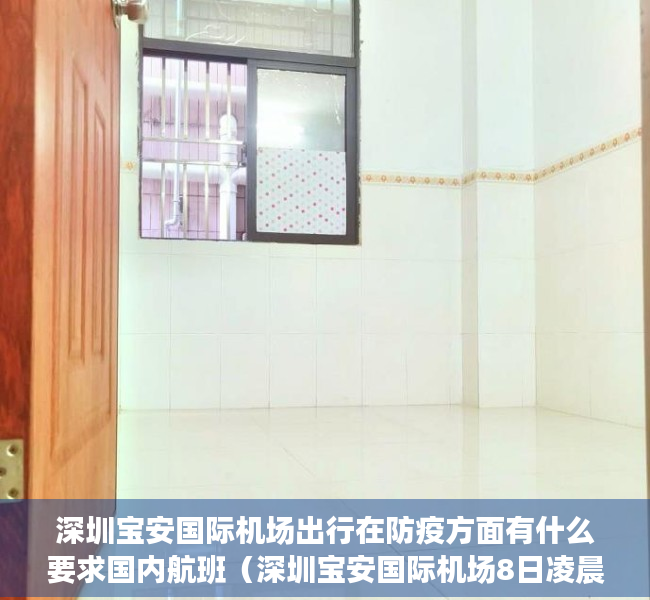 深圳宝安国际机场出行在防疫方面有什么要求国内航班（深圳宝安国际机场8日凌晨迎来入境免隔离后首批旅客）