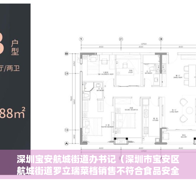 深圳宝安航城街道办书记(深圳市宝安区航城街道罗立瑞菜档销售不符合食品安全标准的食用农产品案) 深圳宝安航城街道办书记(深圳市宝安区航城街道罗立瑞菜档销售不符合食品安全标准的食用农产品案)
