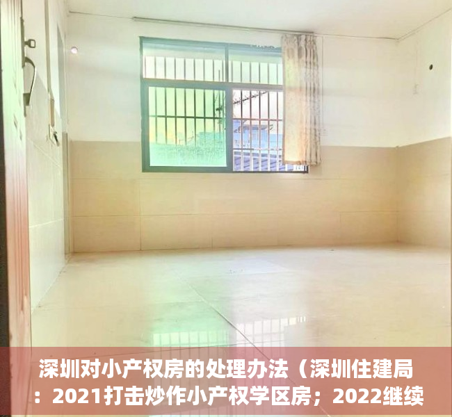 深圳对小产权房的处理办法（深圳住建局：2021打击炒作小产权学区房；2022继续整治市场秩序，二手房参考价将发布）