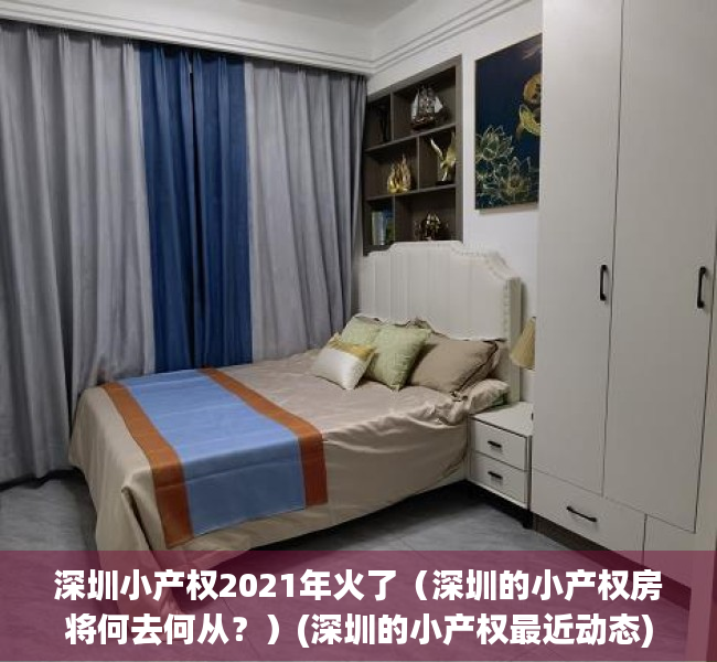 深圳小产权2021年火了（深圳的小产权房将何去何从？）(深圳的小产权最近动态)