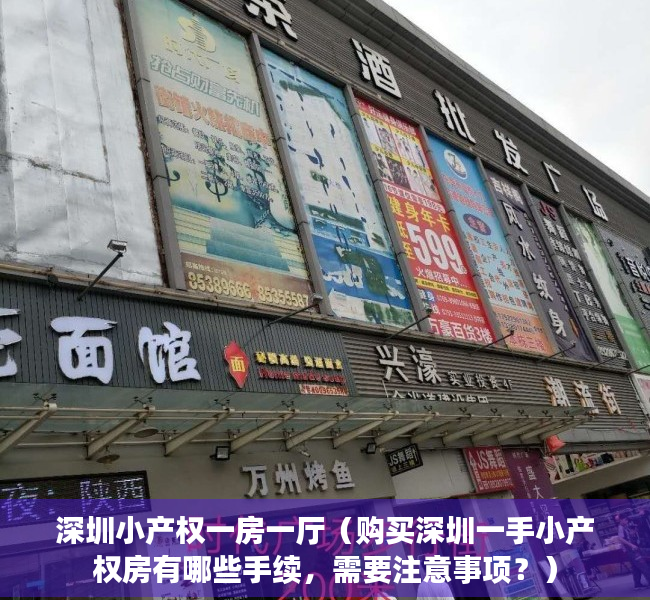 深圳小产权一房一厅（购买深圳一手小产权房有哪些手续，需要注意事项？）