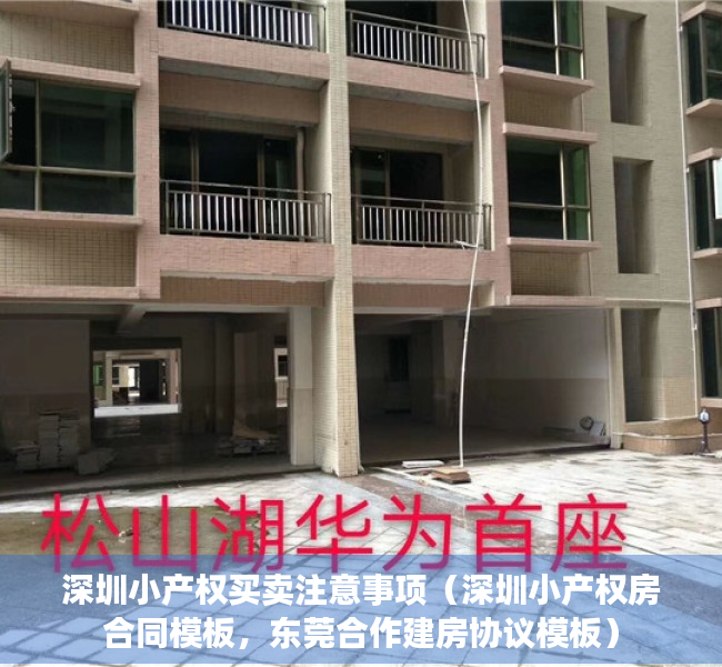 深圳小产权买卖注意事项（深圳小产权房合同模板，东莞合作建房协议模板）
