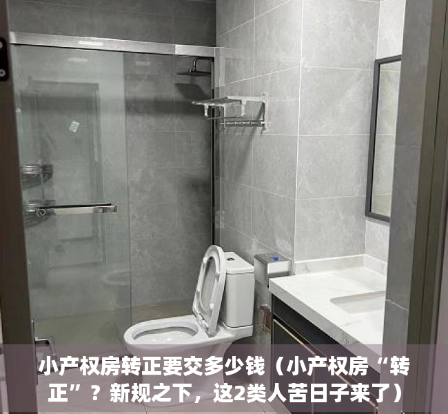 小产权房转正要交多少钱（小产权房“转正”？新规之下，这2类人苦日子来了）