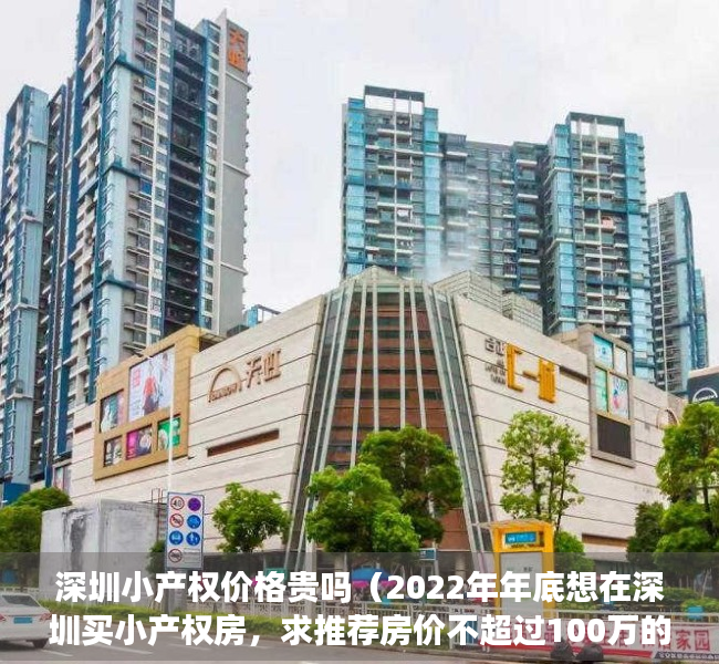 深圳小产权价格贵吗（2022年年底想在深圳买小产权房，求推荐房价不超过100万的三房！）