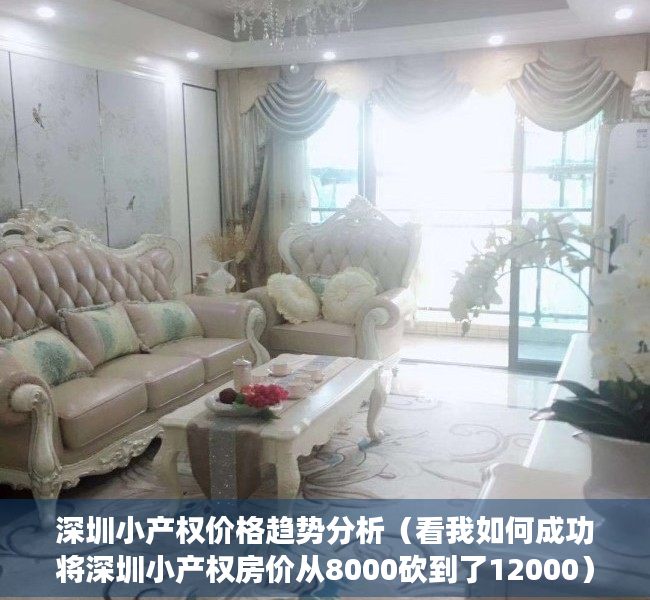 深圳小产权价格趋势分析（看我如何成功将深圳小产权房价从8000砍到了12000）