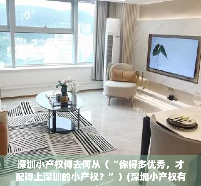 深圳小产权何去何从（“你得多优秀，才配得上深圳的小产权？”）(深圳小产权有哪些)