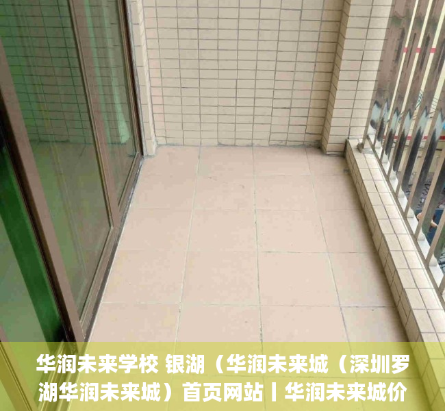 华润未来学校 银湖（华润未来城（深圳罗湖华润未来城）首页网站丨华润未来城价格_户型_地址_详情）