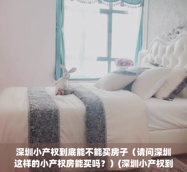 深圳小产权到底能不能买房子（请问深圳这样的小产权房能买吗？）(深圳小产权到底可以买吗)