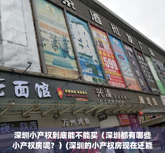 深圳小产权到底能不能买（深圳都有哪些小产权房呢？）(深圳的小产权房现在还能不能买?为什么)