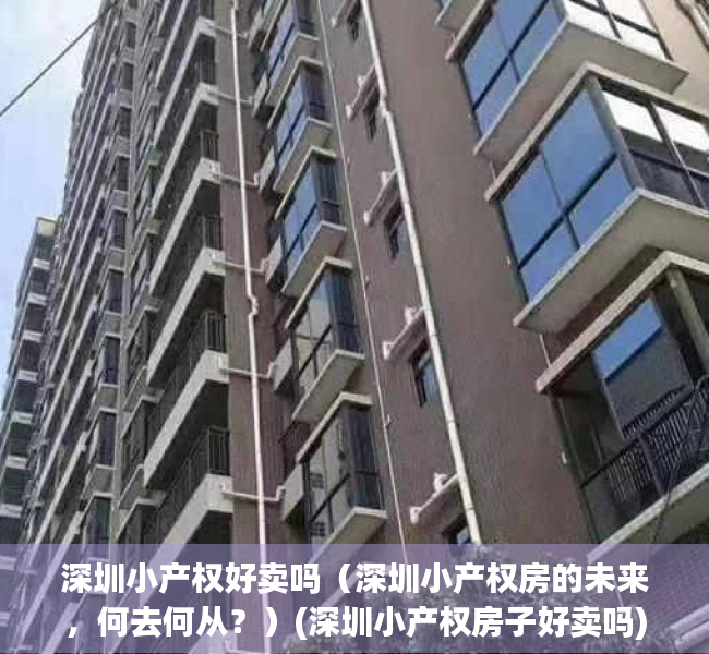 深圳小产权好卖吗（深圳小产权房的未来，何去何从？）(深圳小产权房子好卖吗)