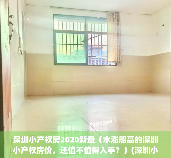 深圳小产权房2020新盘（水涨船高的深圳小产权房价，还值不值得入手？）(深圳小产权房2020年出售信息)