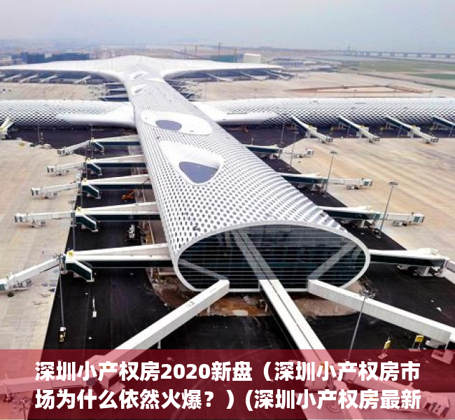 深圳小产权房2020新盘（深圳小产权房市场为什么依然火爆？）(深圳小产权房最新开盘)