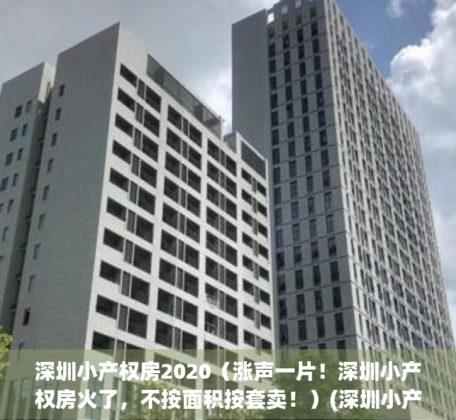 深圳小产权房2020（涨声一片！深圳小产权房火了，不按面积按套卖！）(深圳小产权房2020年出售信息)