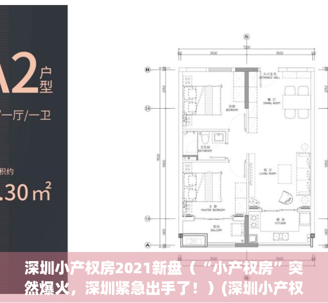 深圳小产权房2021新盘（“小产权房”突然爆火，深圳紧急出手了！）(深圳小产权房大全)