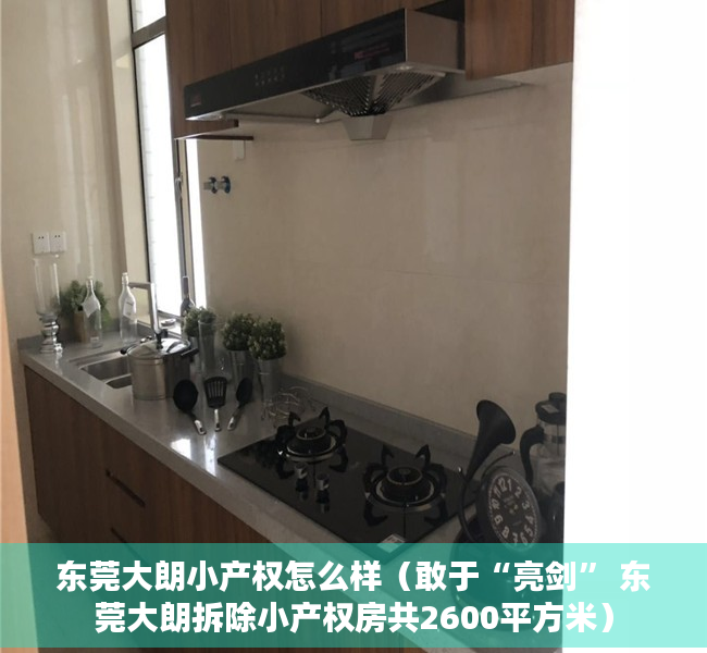 东莞大朗小产权怎么样（敢于“亮剑” 东莞大朗拆除小产权房共2600平方米）