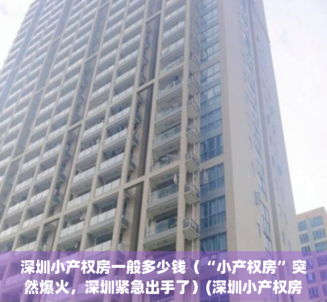 深圳小产权房一般多少钱（“小产权房”突然爆火，深圳紧急出手了）(深圳小产权房大全)
