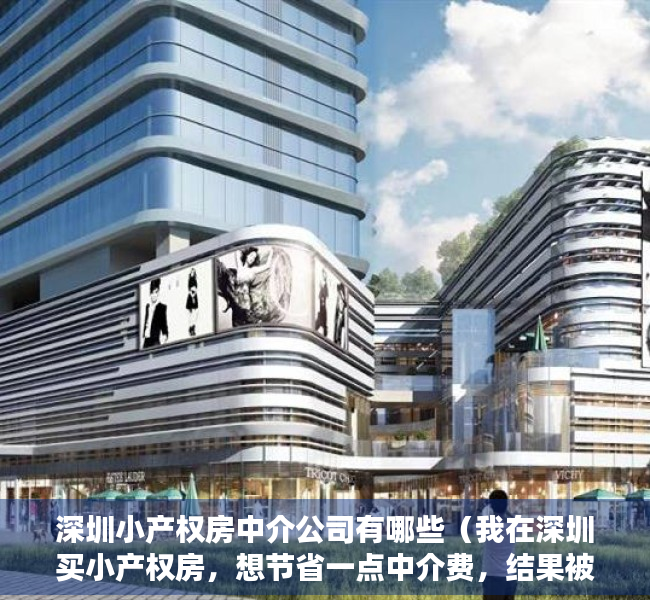 深圳小产权房中介公司有哪些（我在深圳买小产权房，想节省一点中介费，结果被骗了几十万！）