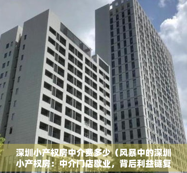 深圳小产权房中介费多少（风暴中的深圳小产权房：中介门店歇业，背后利益链复杂）