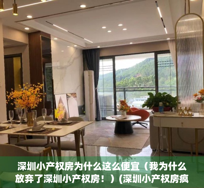 深圳小产权房为什么这么便宜（我为什么放弃了深圳小产权房！）(深圳小产权房疯狂上涨的原因)