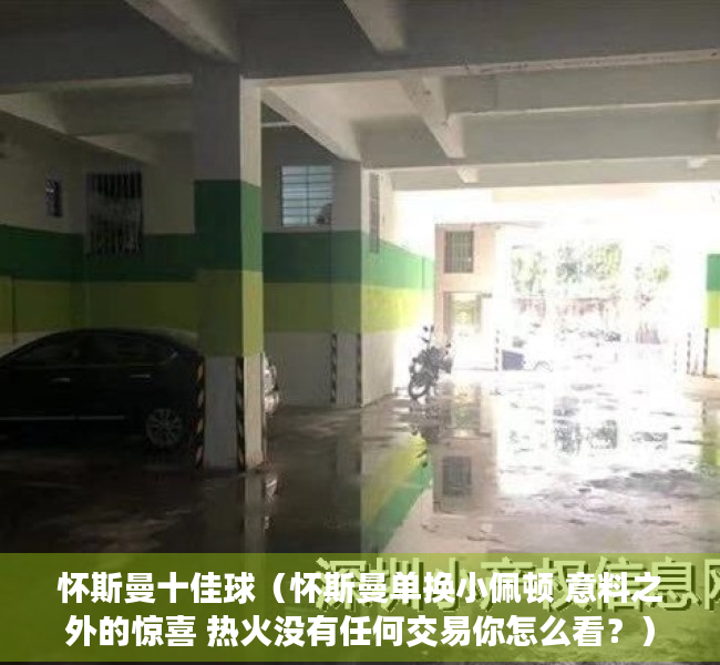 怀斯曼十佳球（怀斯曼单换小佩顿 意料之外的惊喜 热火没有任何交易你怎么看？）