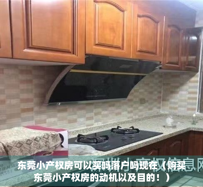 东莞小产权房可以买吗落户吗现在（购买东莞小产权房的动机以及目的！）