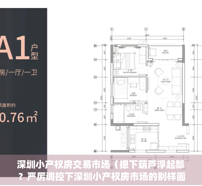 深圳小产权房交易市场（摁下葫芦浮起瓢？严厉调控下深圳小产权房市场的别样画面）