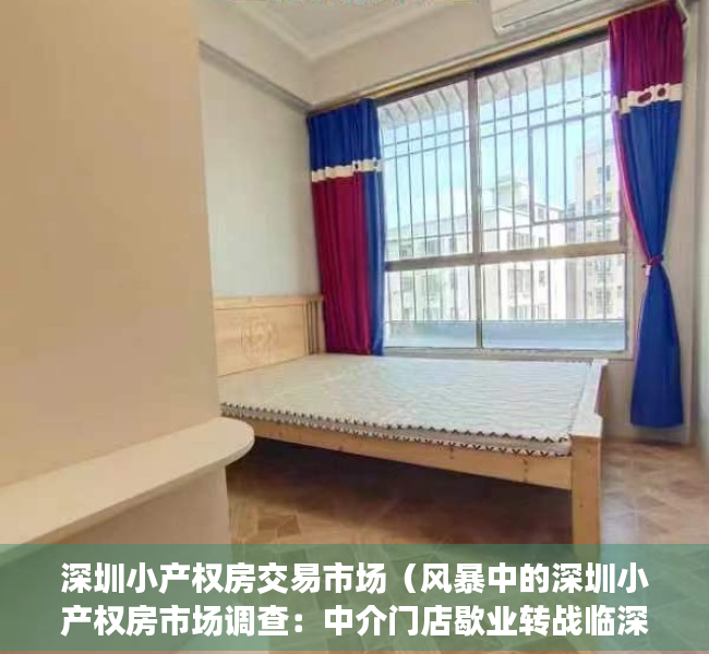 深圳小产权房交易市场（风暴中的深圳小产权房市场调查：中介门店歇业转战临深片区）