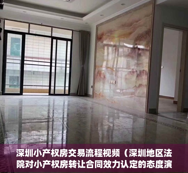 深圳小产权房交易流程视频（深圳地区法院对小产权房转让合同效力认定的态度演变及法律困境）