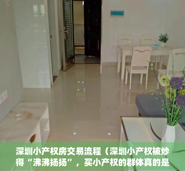 深圳小产权房交易流程（深圳小产权被炒得“沸沸扬扬”，买小产权的群体真的是在炒房吗？）