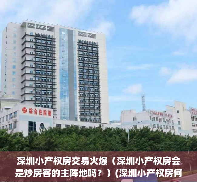 深圳小产权房交易火爆（深圳小产权房会是炒房客的主阵地吗？）(深圳小产权房何去何从)