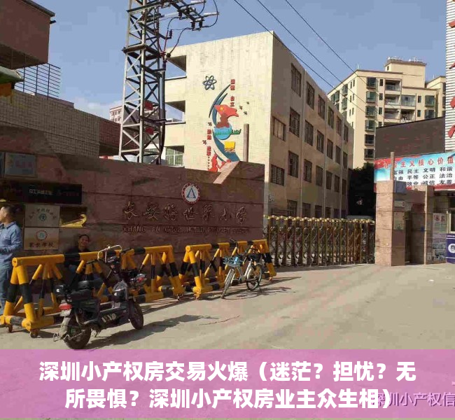 深圳小产权房交易火爆（迷茫？担忧？无所畏惧？深圳小产权房业主众生相）
