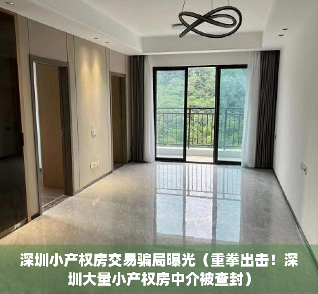 深圳小产权房交易骗局曝光（重拳出击！深圳大量小产权房中介被查封）